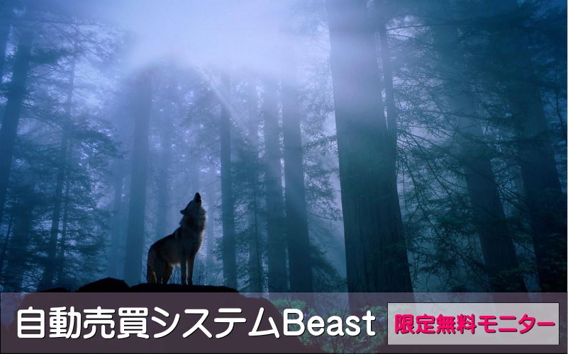 FX自動売買(EA)Beastの特徴